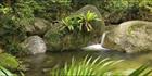 Wurrmbu Creek - Mossman Gorge - QLD H (PBH4 00 17007)